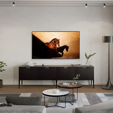 OLed SAMSUNG TQ77S85DAEXXC